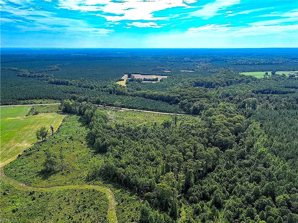 19.2Ac Hollybush RD, DENDRON VA 23839 thumb 10
