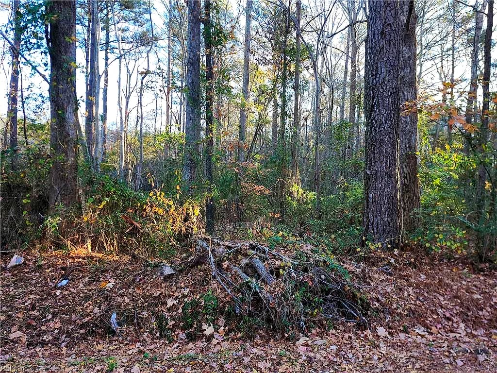 2701 Seven Eleven RD, CHESAPEAKE VA 23323 - Photo 2