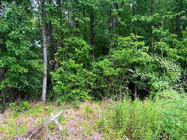 LOTS Railroad AVE, WAKEFIELD VA 23888 thumb 11