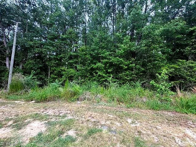 LOTS Railroad AVE, WAKEFIELD VA 23888 - Photo 3