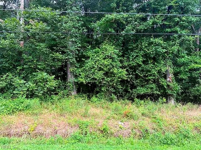 LOTS Railroad AVE, WAKEFIELD VA 23888 - Photo 4