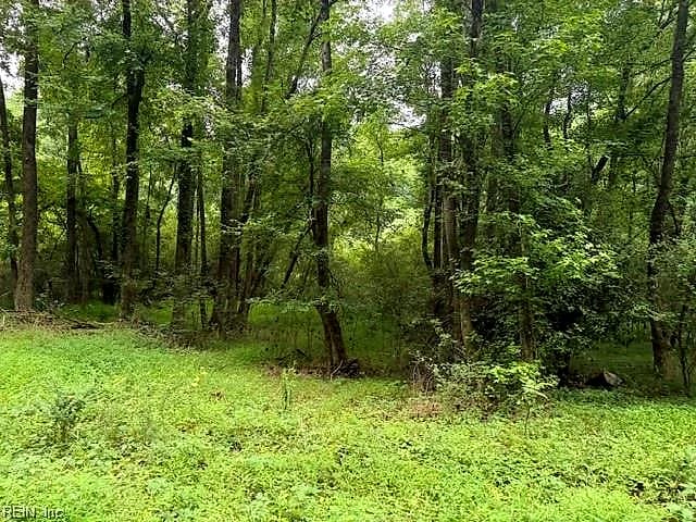 LOTS Railroad AVE, WAKEFIELD VA 23888 - Photo 5