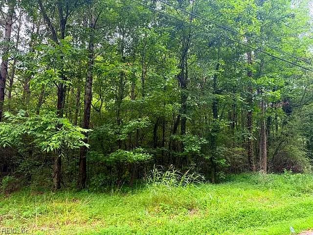 LOTS Railroad AVE, WAKEFIELD VA 23888 thumb 6