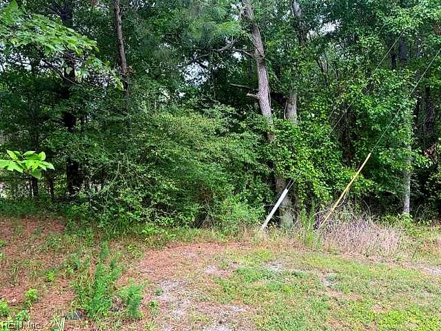 LOTS Railroad AVE, WAKEFIELD VA 23888 thumb 7