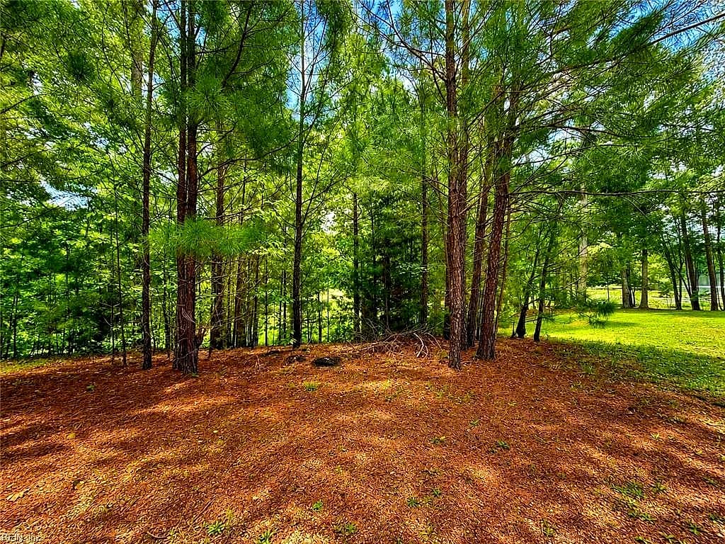LOT 6 Birdsong RD, EBONY VA 23845 thumb 11