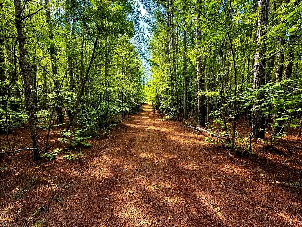 LOT 6 Birdsong RD, EBONY VA 23845 thumb 10