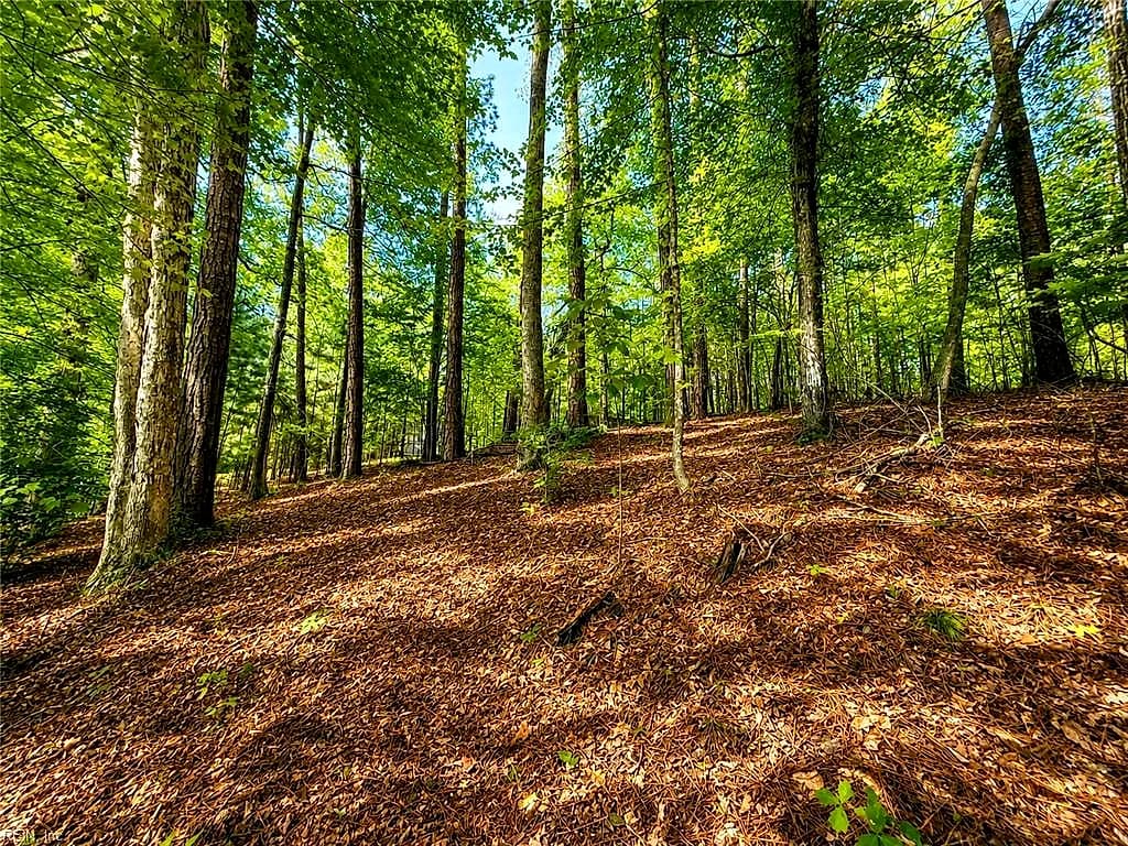 LOT 5 Birdsong RD, EBONY VA 23845 thumb 7