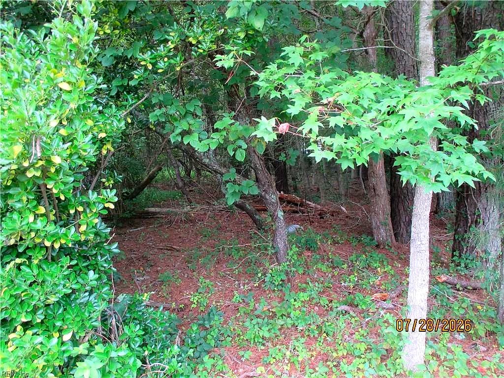 5701 Old Union RD, CHARLES CITY VA 23030 - Photo 3