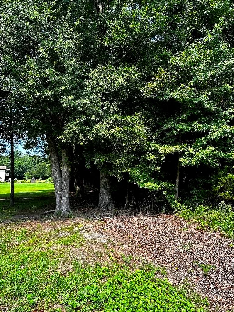 42.99 Willis RD, GLOUCESTER VA 23061 thumb 9