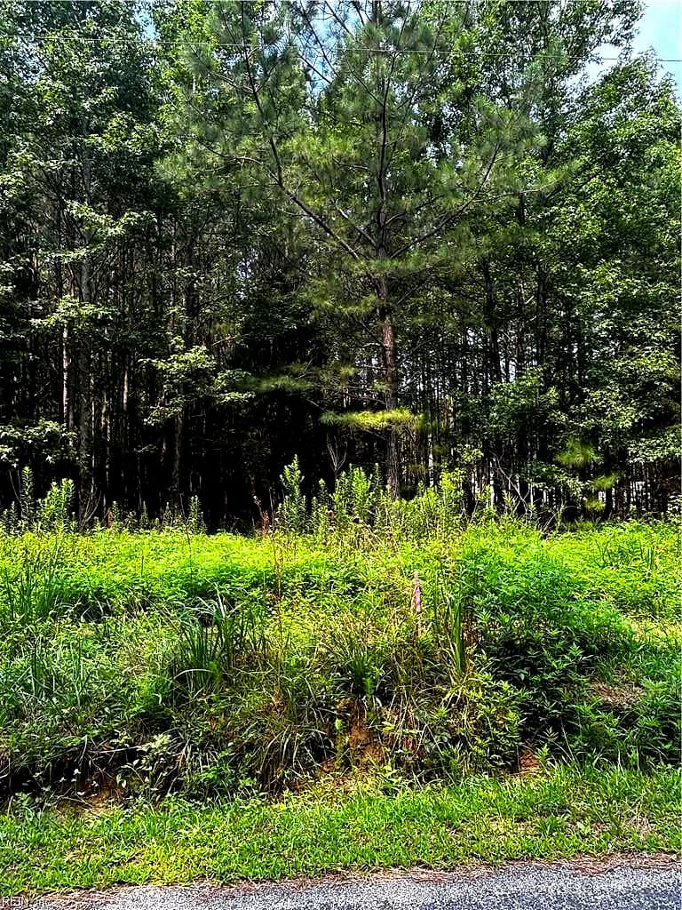 42.99 Willis RD, GLOUCESTER VA 23061 thumb 10
