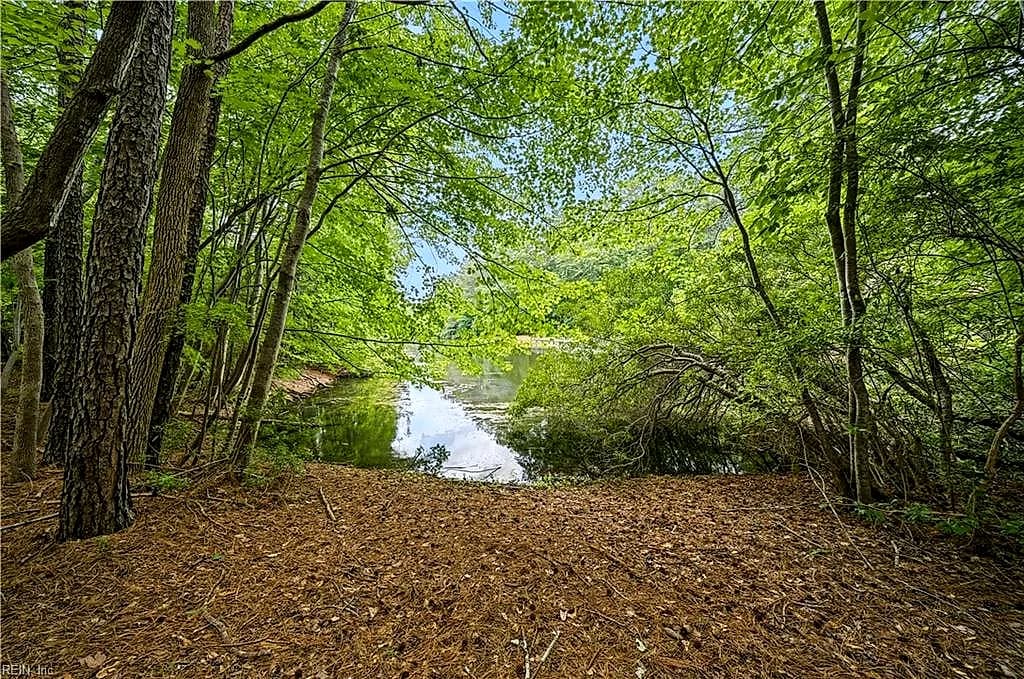 26211 Hanging Tree RD, COURTLAND VA 23837 thumb 6