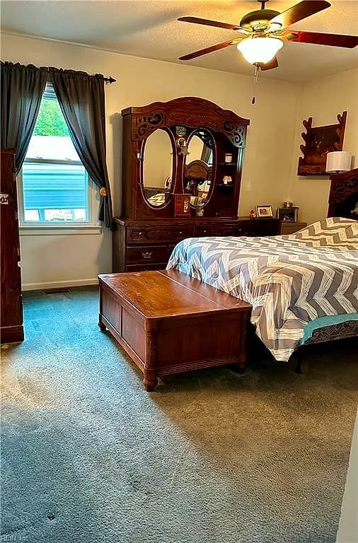 905 Woodland DR, SOUTH HILL VA 23970 thumb 9