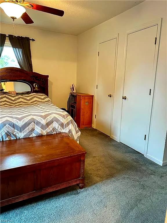 905 Woodland DR, SOUTH HILL VA 23970 thumb 10