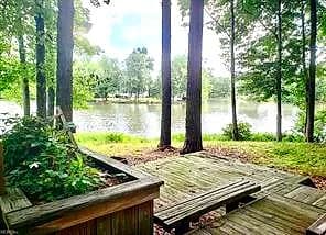297 Burnetts WAY, SUFFOLK VA 23434 thumb 9