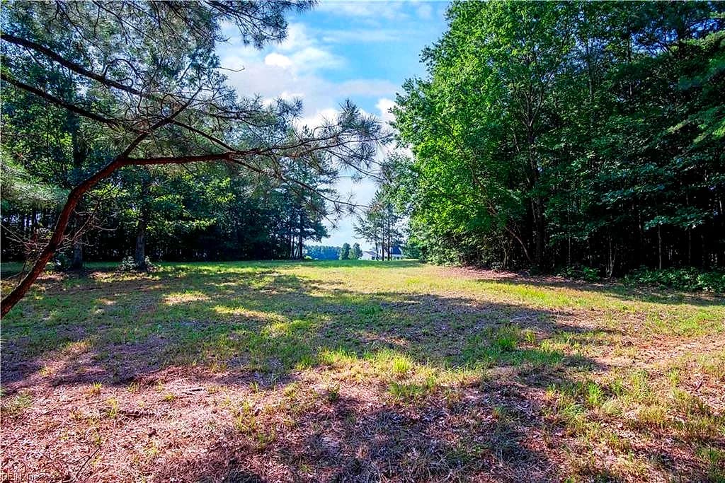 6250 Tuckers Ridge LN, BARHAMSVILLE VA 23011 - Photo 4
