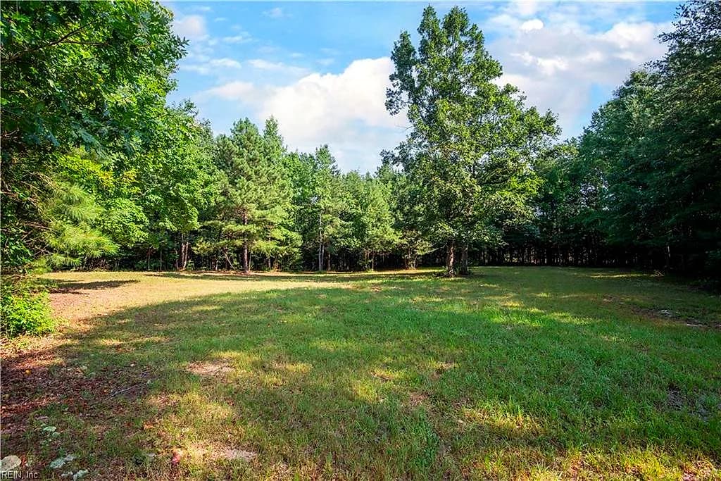 6250 Tuckers Ridge LN, BARHAMSVILLE VA 23011 - Photo 5