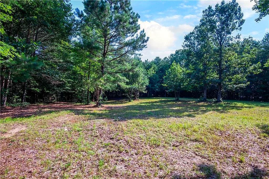 6250 Tuckers Ridge LN, BARHAMSVILLE VA 23011 thumb 7