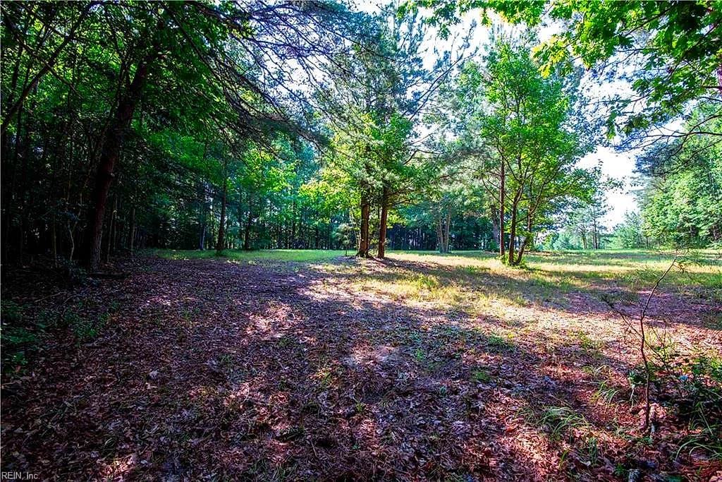 6250 Tuckers Ridge LN, BARHAMSVILLE VA 23011 thumb 8