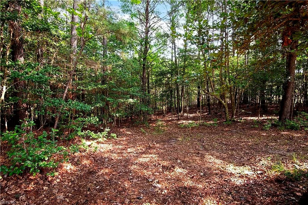 6250 Tuckers Ridge LN, BARHAMSVILLE VA 23011 thumb 9