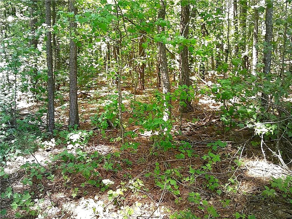 8 acs Seacock Chapel RD, ZUNI VA 23898 - Main photo