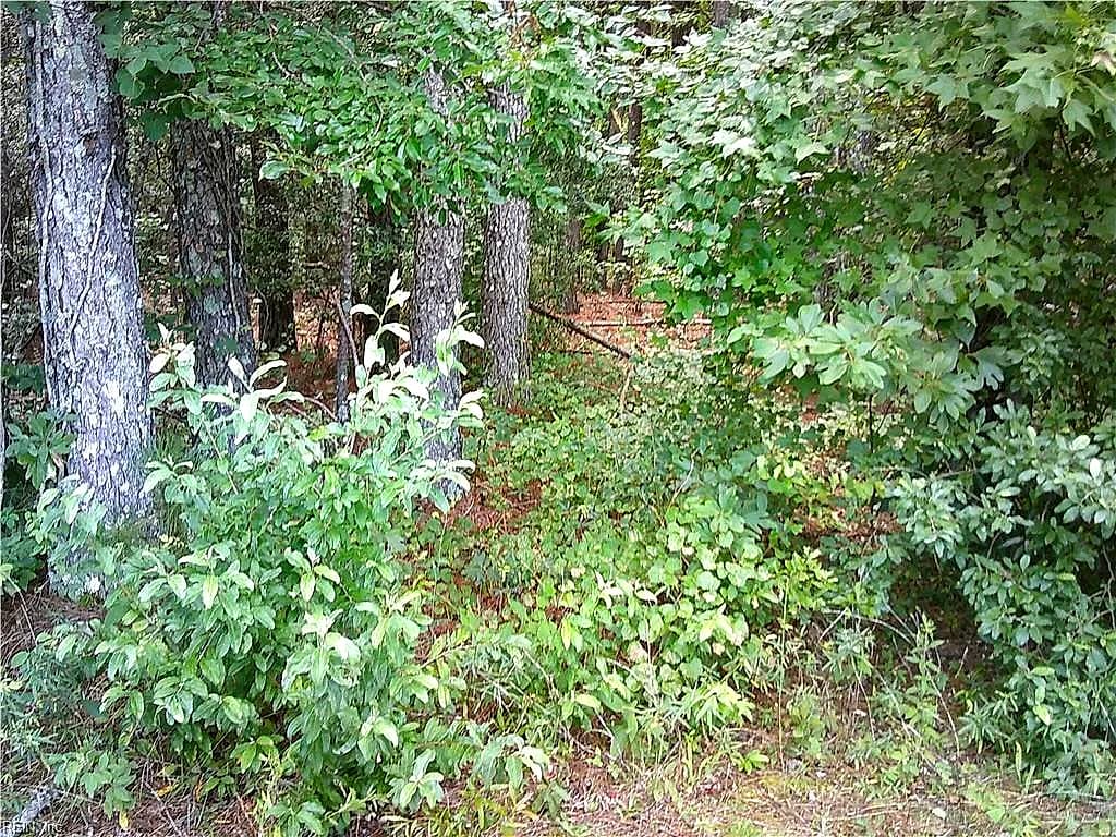 8 acs Seacock Chapel RD, ZUNI VA 23898 thumb 11