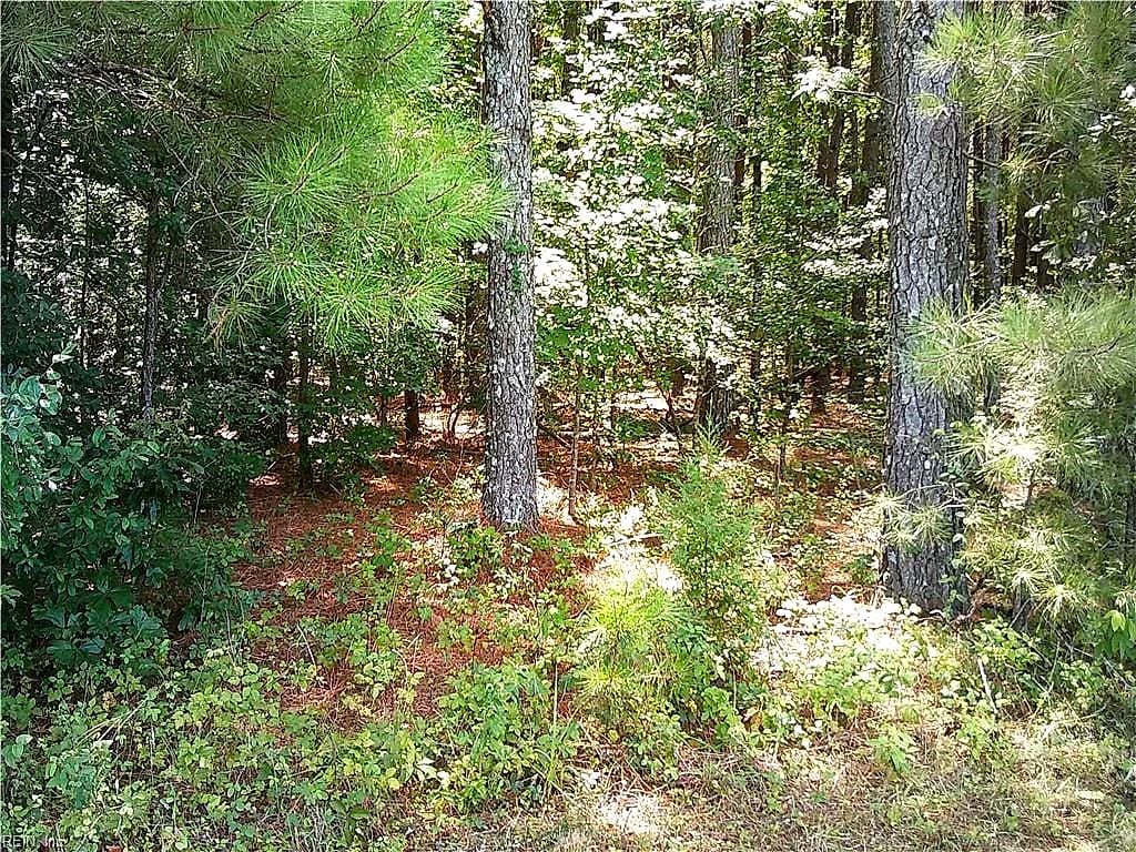 8 acs Seacock Chapel RD, ZUNI VA 23898 thumb 12