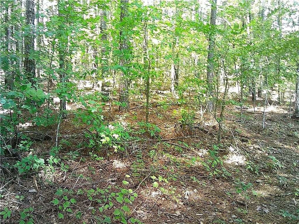 8 acs Seacock Chapel RD, ZUNI VA 23898 - Photo 3