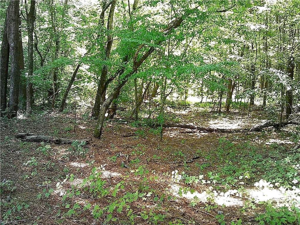 8 acs Seacock Chapel RD, ZUNI VA 23898 - Photo 4
