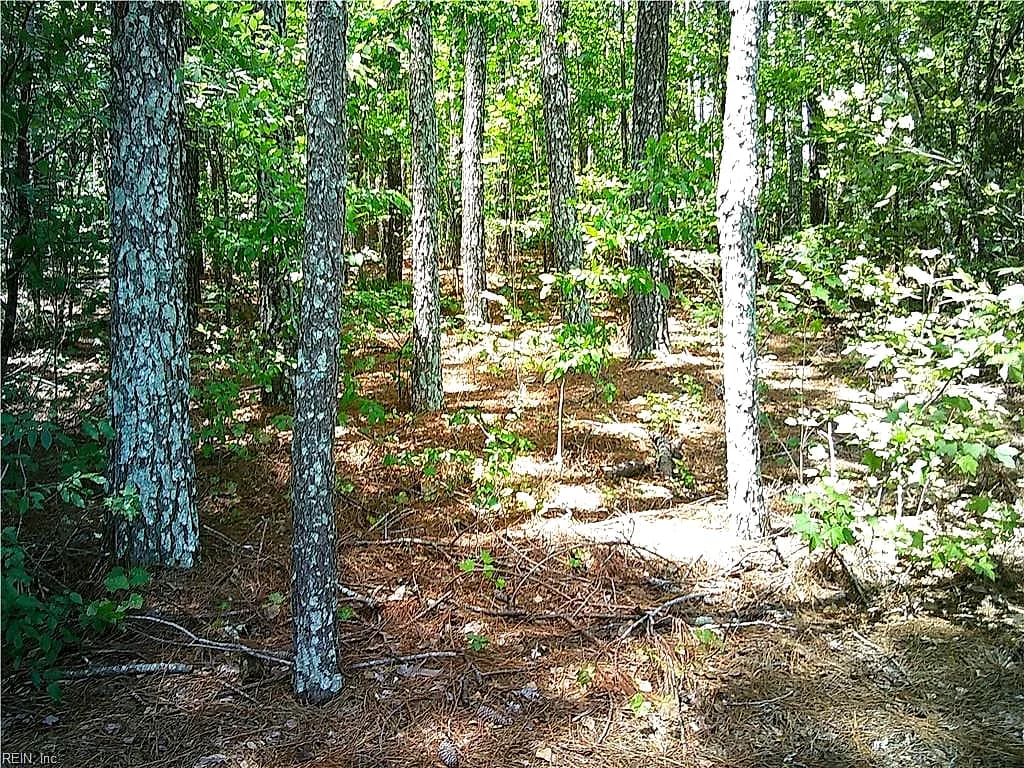 8 acs Seacock Chapel RD, ZUNI VA 23898 - Photo 5