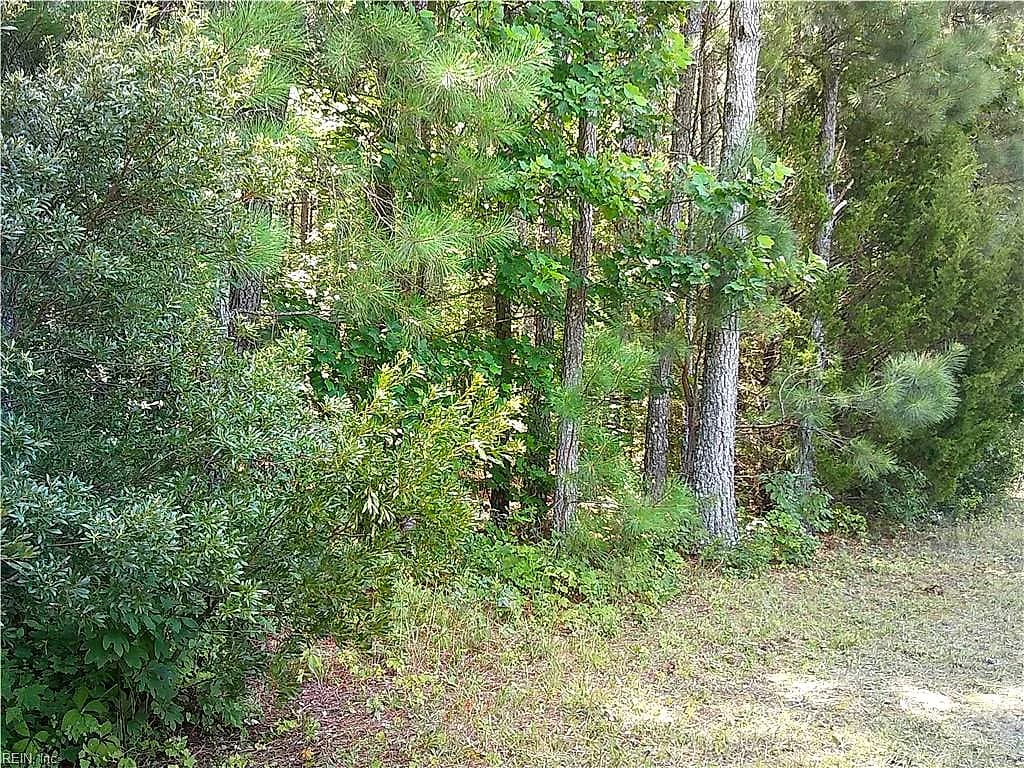 8 acs Seacock Chapel RD, ZUNI VA 23898 thumb 7