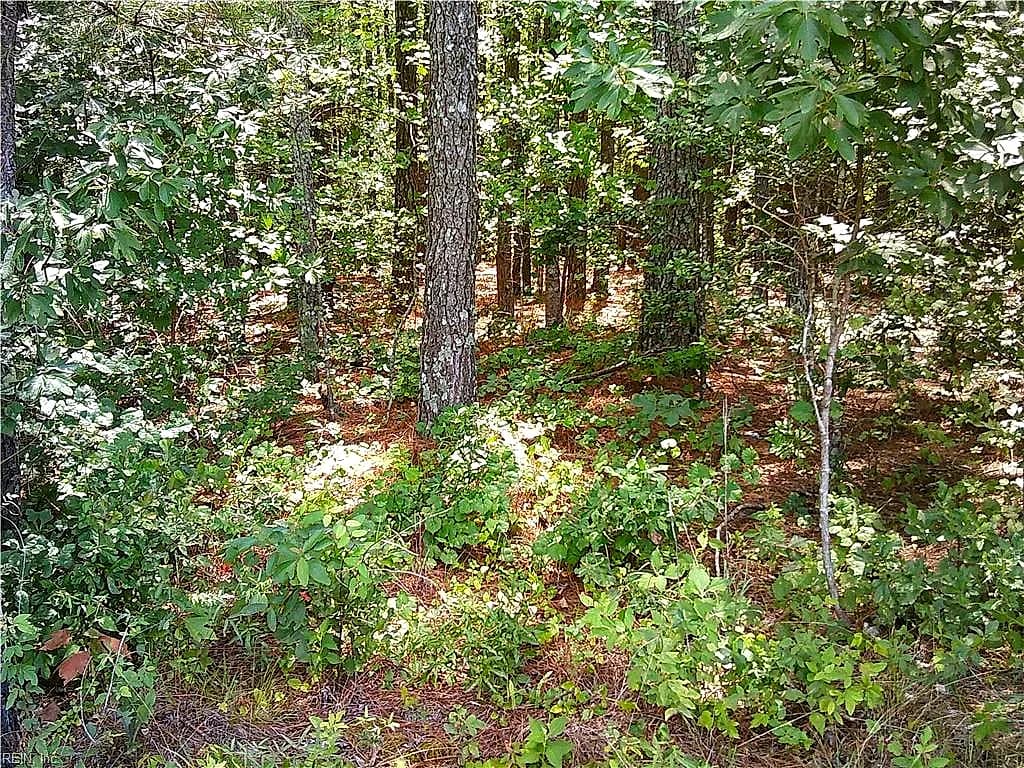 8 acs Seacock Chapel RD, ZUNI VA 23898 thumb 9