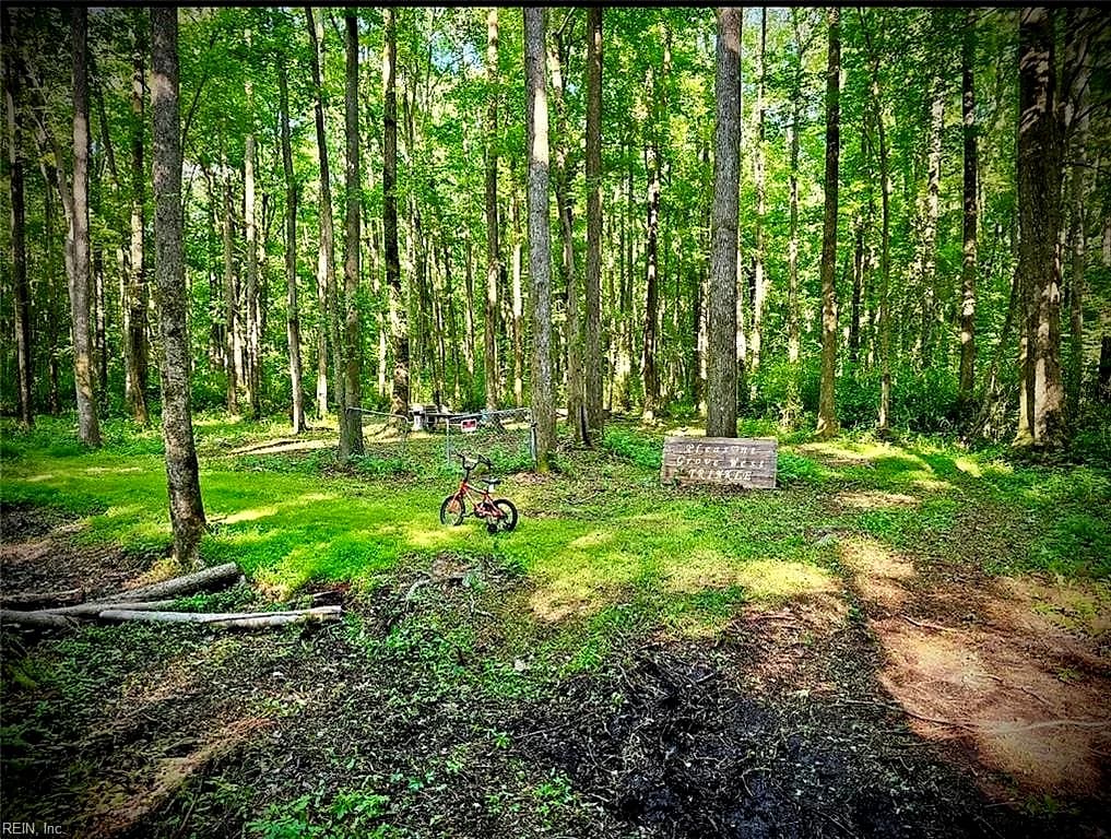.229AC Trinkle ST, CHESAPEAKE VA 23322 - Photo 2