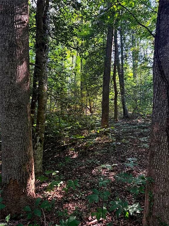 1.27ac Ware ST, GLOUCESTER VA 23061 - Photo 3