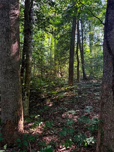 1.27ac Ware ST, GLOUCESTER VA 23061 thumb 3