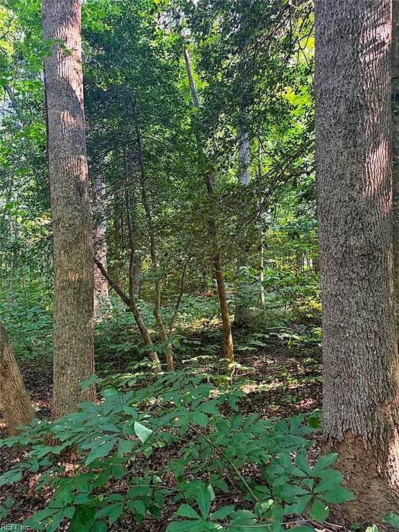 1.27ac Ware ST, GLOUCESTER VA 23061 - Photo 4