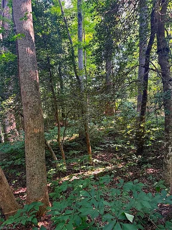 1.27ac Ware ST, GLOUCESTER VA 23061 thumb 6