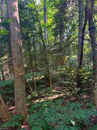 1.27ac Ware ST, GLOUCESTER VA 23061 thumb 6