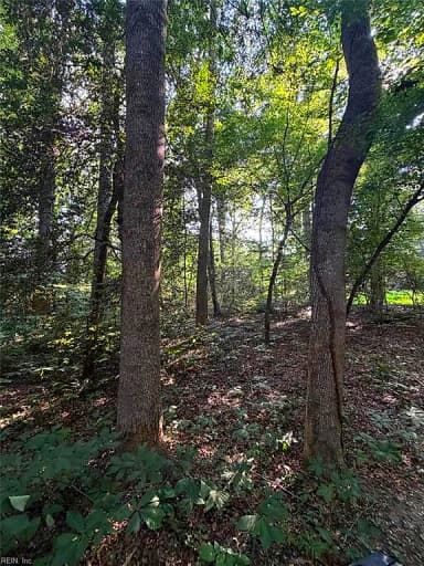 1.27ac Ware ST, GLOUCESTER VA 23061 thumb 8