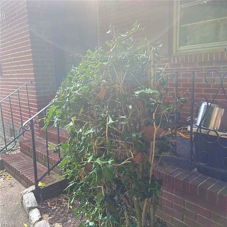 1713 Greenhouse RD, VIRGINIA BEACH VA 23455 thumb 6