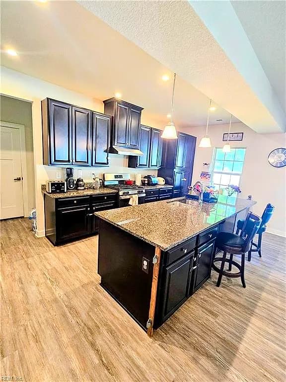 229 Republic LN, SUFFOLK VA 23434 thumb 8