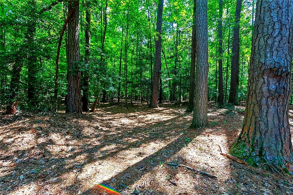 14439 Beaver Dam Rd RD, WAVERLY VA 23890 thumb 11