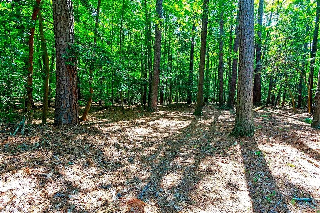 14439 Beaver Dam Rd RD, WAVERLY VA 23890 thumb 12