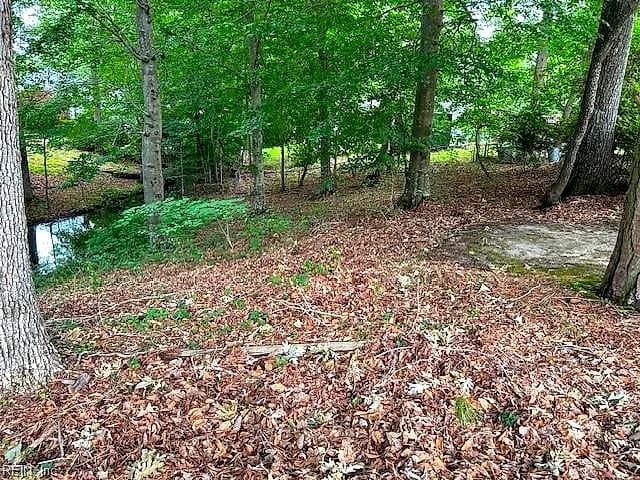 917 Lacon DR, NEWPORT NEWS VA 23608 - Photo 3