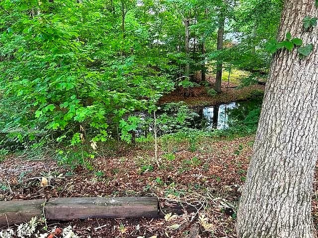 917 Lacon DR, NEWPORT NEWS VA 23608 - Photo 4