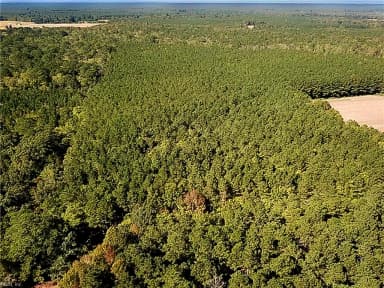 15 Acres Cypress Chapel RD, SUFFOLK VA 23434 thumb 1