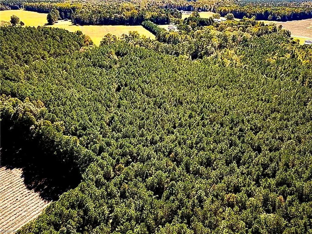 15 Acres Cypress Chapel RD, SUFFOLK VA 23434 thumb 12