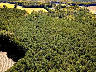 15 Acres Cypress Chapel RD, SUFFOLK VA 23434 thumb 12