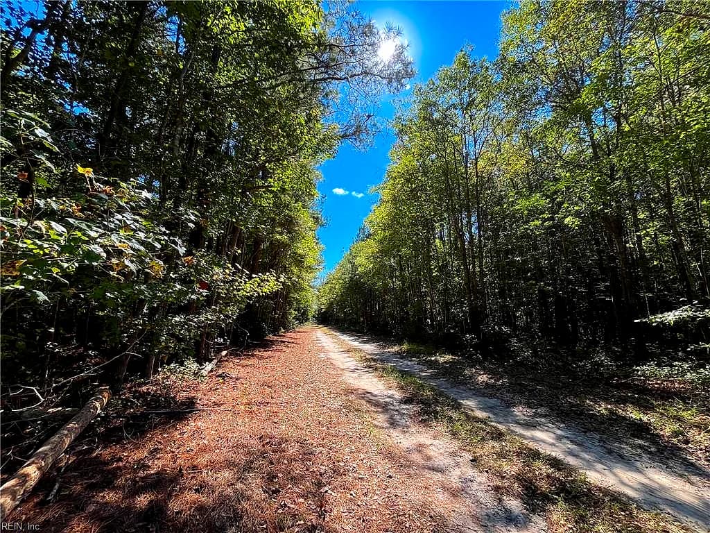 15 Acres Cypress Chapel RD, SUFFOLK VA 23434 - Photo 3