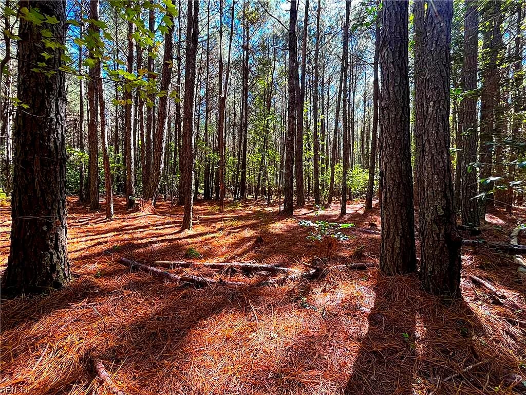 15 Acres Cypress Chapel RD, SUFFOLK VA 23434 - Photo 4