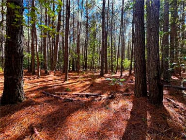 15 Acres Cypress Chapel RD, SUFFOLK VA 23434 thumb 4